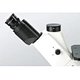 LED Inverted Biological Fluorescent Microscope